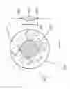 Fig. 09 - Accommodative intraocular lens and method of improving accommodation