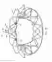 Fig. 16 - Replacement cardiac valves and methods of use and manufacture