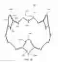 Fig. 20 - Replacement cardiac valves and methods of use and manufacture