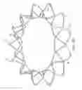 Fig. 06 - Replacement cardiac valves and methods of use and manufacture