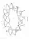 Fig. 07 - Replacement cardiac valves and methods of use and manufacture