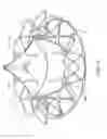 Fig. 17 - Replacement cardiac valves and methods of use and manufacture