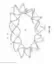 Fig. 07 - Replacement cardiac valves and methods of use and manufacture