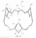 Fig. 20 - Replacement cardiac valves and methods of use and manufacture
