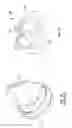 Fig. 05 - Transapical introducer