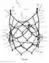 Fig. 03 - Prosthetic heart valve system and delivery system therefor