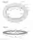 Fig. 06 - Prosthetic mitral valve
