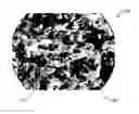 Fig. 01 - Devices and Methods for Tissue Engineering
