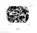 Fig. 02 - Devices and Methods for Tissue Engineering