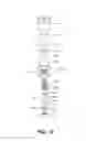 Fig. 13 - Prosthetic foot