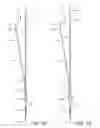 Fig. 08 - Internal iliac preservation devices and methods