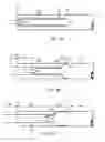 Fig. 05 - Delivery system for a self expanding stent