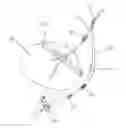 Fig. 01 - Methods and devices for treating obesity, incontinence, and neurological and physiological disorders