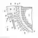 Fig. 03 - Reduced-pressure, wound-closure and treatment systems and methods