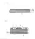 Fig. 04 - Absorbent article
