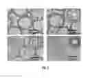 Fig. 03 - On demand vesicle formation from vesicle precursors suitable for long-term storage