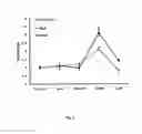 Fig. 03 - Pharmaceutical composition for the treatment of diminution of bone tissue