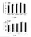 Fig. 05 - Pharmaceutical composition for the treatment of diminution of bone tissue