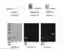 Fig. 02 - PROTEIN VESICLES AND METHODS OF MAKING AND USING THEREOF