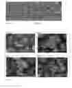 Fig. 02 - Heat-stable dry powder pharmaceutical compositions and methods