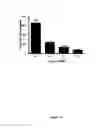 Fig. 21 - Pharmaceutical compositions comprising monoterpenes