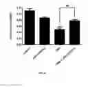 Fig. 07 - Method for treating gefitinib-resistant non-small-cell lung cancer