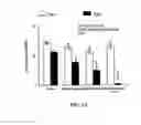 Fig. 11 - METHODS OF REDUCING BRAIN CELL APOPTOSIS