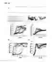 Fig. 10 - Antimicrobial compositions with cysteamine