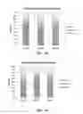 Fig. 14 - Enteric-Coated Functional Food Ingredients And Methods For Making The Enteric-Coated Functional Food Ingredients