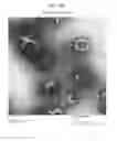 Fig. 25 - NANOEMULSION THERAPEUTIC COMPOSITIONS AND METHODS OF USING THE SAME