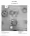 Fig. 26 - NANOEMULSION THERAPEUTIC COMPOSITIONS AND METHODS OF USING THE SAME