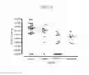 Fig. 27 - NANOEMULSION THERAPEUTIC COMPOSITIONS AND METHODS OF USING THE SAME