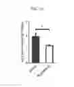 Fig. 32 - NANOEMULSION THERAPEUTIC COMPOSITIONS AND METHODS OF USING THE SAME
