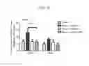 Fig. 34 - NANOEMULSION THERAPEUTIC COMPOSITIONS AND METHODS OF USING THE SAME