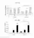 Fig. 40 - NANOEMULSION THERAPEUTIC COMPOSITIONS AND METHODS OF USING THE SAME