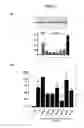 Fig. 06 - Use of derivatives of polyunsaturated fatty acids as medicaments
