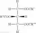 Fig. 03 - Compositions and methods comprising medium chain triglycerides for treatment of epilepsy