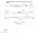Fig. 06 - SARMs and method of use thereof