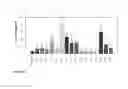 Fig. 16 - SARMs and method of use thereof
