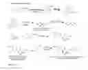 Fig. 22 - SARMs and method of use thereof