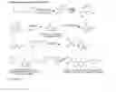 Fig. 24 - SARMs and method of use thereof