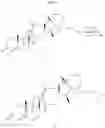 Fig. 50 - Methods of use of cyclopamine analogs