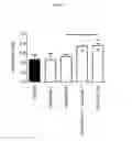Fig. 04 - Use of flecainide as an anti-connexin agent and method for potentiating the effects of a psychotropic drug