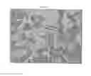 Fig. 09 - CRYSTALS OF LAQUINIMOD SODIUM AND IMPROVED PROCESS FOR THE MANUFACTURE THEREOF