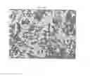 Fig. 10 - CRYSTALS OF LAQUINIMOD SODIUM AND IMPROVED PROCESS FOR THE MANUFACTURE THEREOF