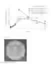 Fig. 03 - SUSTAINED-RELEASE FORMULATION FOR INJECTION