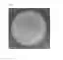 Fig. 04 - SUSTAINED-RELEASE FORMULATION FOR INJECTION
