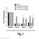 Fig. 02 - PYRIMIDINE HYDROXY AMIDE COMPOUNDS FOR TREATING PERIPHERAL NEUROPATHY