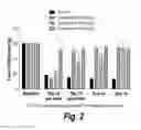 Fig. 03 - PYRIMIDINE HYDROXY AMIDE COMPOUNDS FOR TREATING PERIPHERAL NEUROPATHY