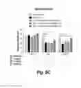 Fig. 15 - PYRIMIDINE HYDROXY AMIDE COMPOUNDS FOR TREATING PERIPHERAL NEUROPATHY